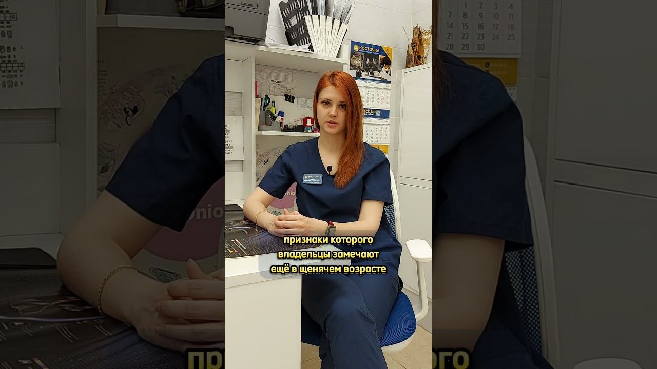 Неврологические заболевания у миниатюрных пород смотреть онлайн