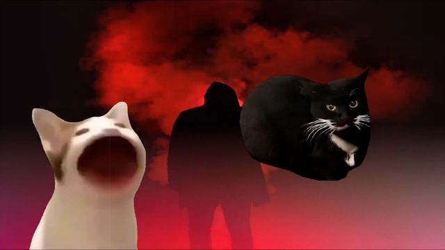 10 Maxwell The Cat and Pop Cat Sound Variations in 43 Seconds смотреть онлайн