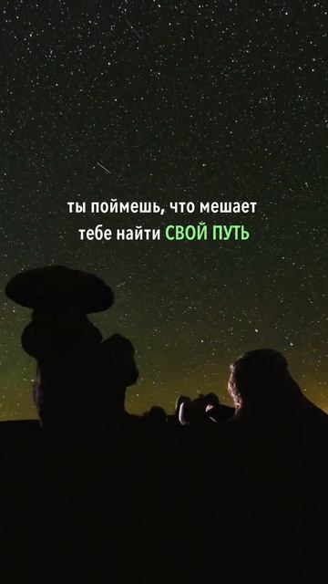 ✅ ТГК: Глубоко НЕ фиолетово #предназначение #психология #коучинг #таро #астрология #жизнь