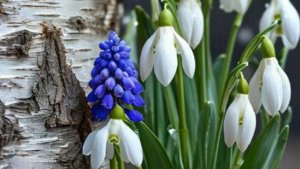 Доброе утро — с позитивом! 🌞 С добрым утром вторника!