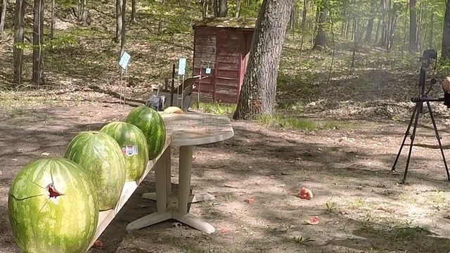 Saiga 12 Tactical Shotgun VS Watermelons смотреть онлайн