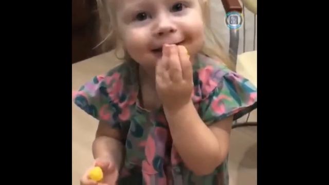 Лучшие смешные видео приколы 2018 (6) / Funny Bunny смотреть онлайн