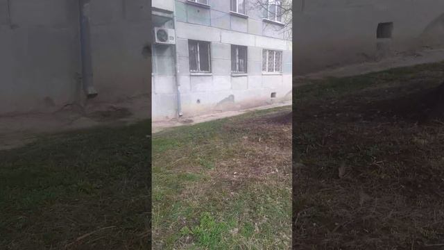 20250408_092324 смотреть онлайн