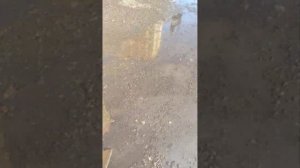 горит автобус на ходу