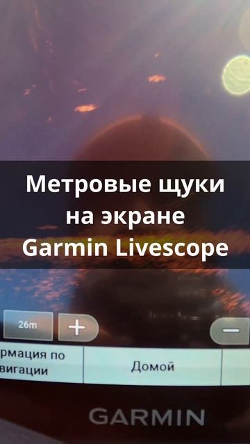 Как выглядит большая щука на экране Garmin Livescope смотреть онлайн