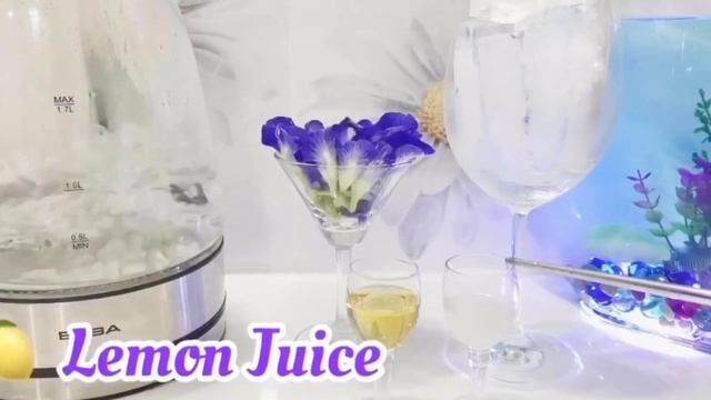 How to make a healthy drink from blue butterfly pea flower ( Bunga Telang ) смотреть онлайн