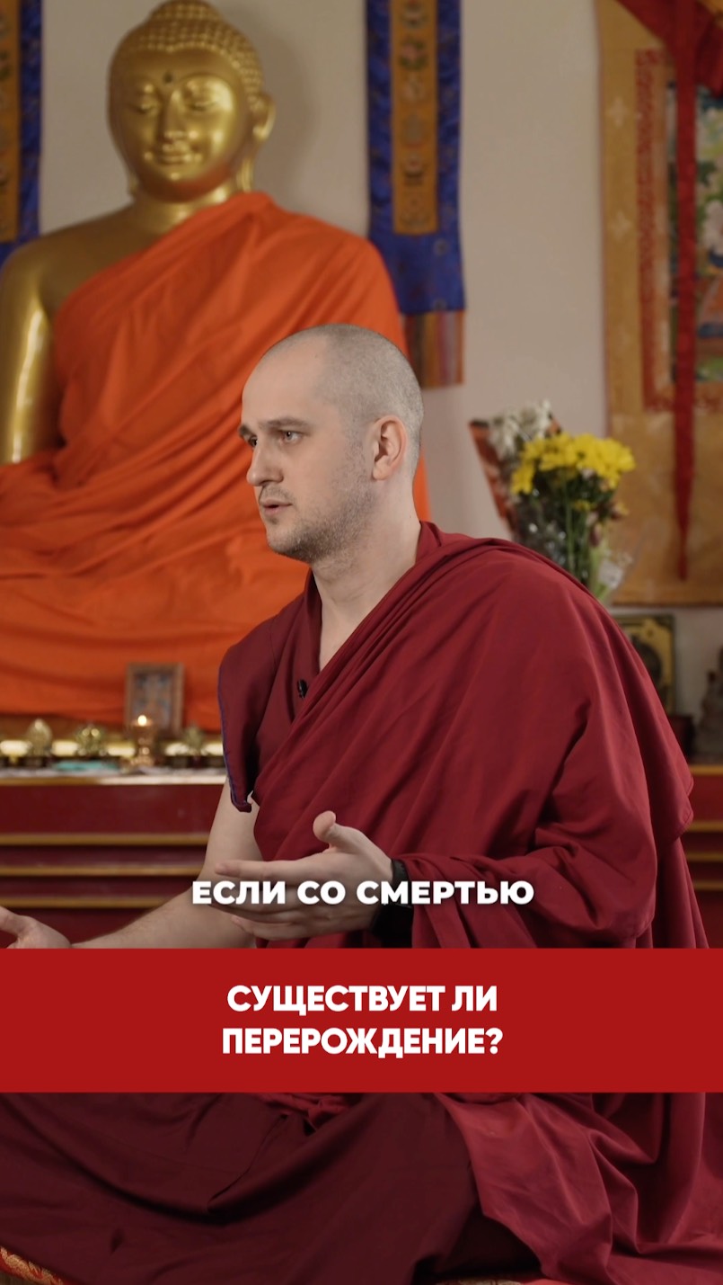 Существует ли перерождение? смотреть онлайн