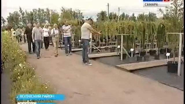 Приезд поляков 27 06 14 смотреть онлайн