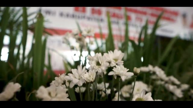 PENYERAHAN PENGHARGAAN & TEMU DONOR DARAH SUKARELA KE 50 & 75 SE - JAWA TENGAH TAHUN 2023 смотреть онлайн