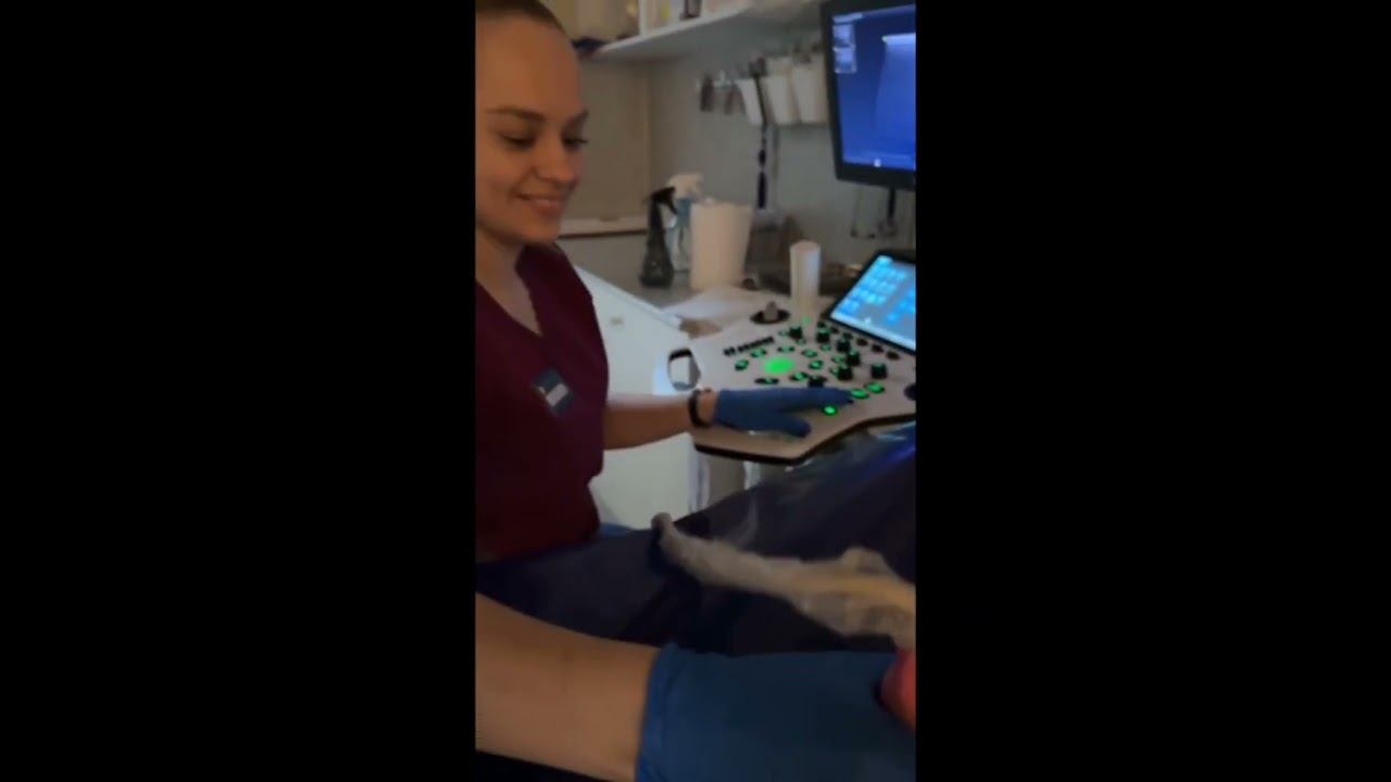 УЗИ морской свинке в ветклинике "Косточка" Санкт-Петербург #ветеринар #ветклиникакосточка смотреть онлайн