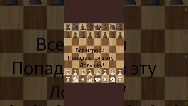 Топ 5 самых лучших ловушек в сицилианской защите! смотреть онлайн
