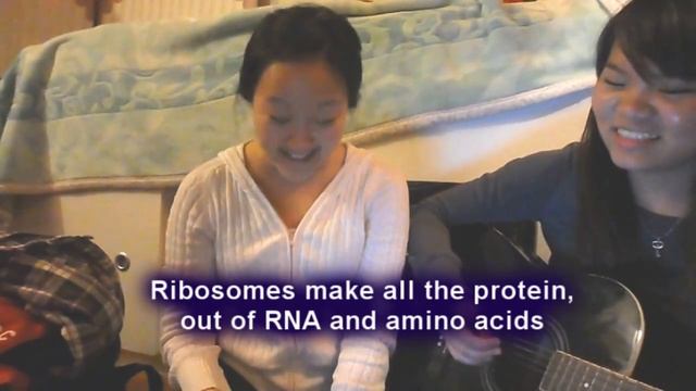 AP Biology- Animal Cell Project Song смотреть онлайн