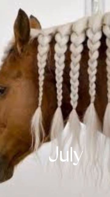 Your Month Your Horse Hairstyles |sorry if the song isn’t on you month it was being glitchy| смотреть онлайн