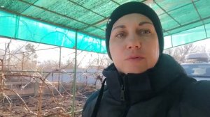 Переезд на юг /Посёлок Советский Ейского района Краснодарского края /Зелёный лук в январе/