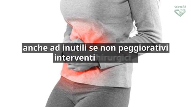 I Disturbi Funzionali Gastrointestinali FGID смотреть онлайн