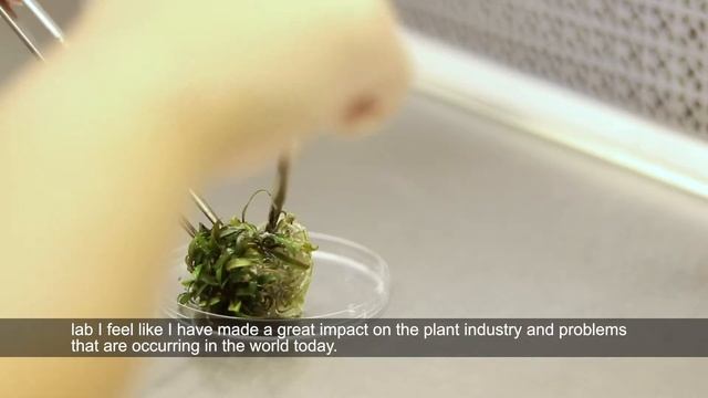 Plant Micropropagation Laboratory | #thisiscals смотреть онлайн