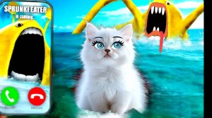 SPRUNKI ПОЖИРАТЕЛЬ позвонил мне