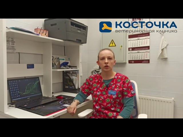 Смена корма смотреть онлайн