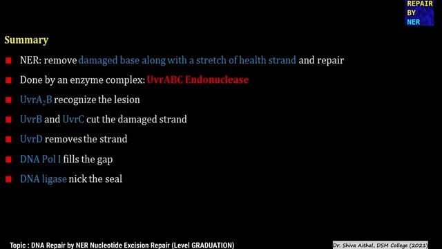 07 DNA Damage and Repair by NER and BER смотреть онлайн