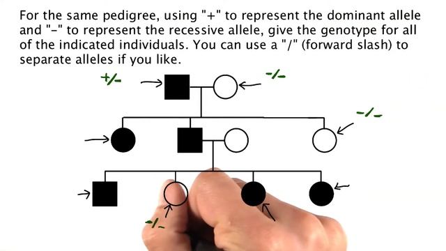 Problem 11 - Tales from the Genome смотреть онлайн
