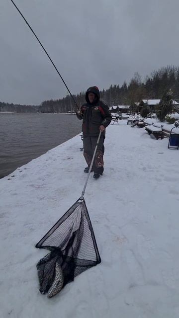 Поимки на донки смотреть онлайн