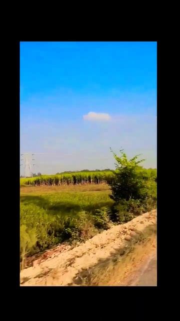 Chal Mere Dil Khula Hai Maikhana #chalmeredil #natcher #outdoorshoot #dipawali2022