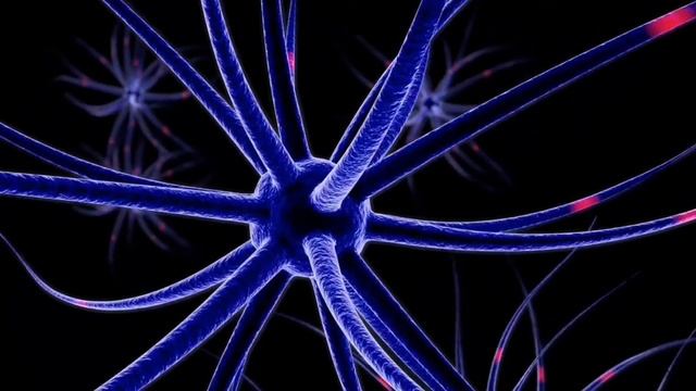neuralink e seu macaco gamer смотреть онлайн
