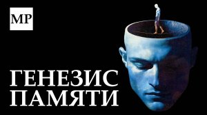 Где рождается память?