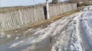 20.03.2025.Черенкую петунии. Бегут ручьи. Моя Венеция...