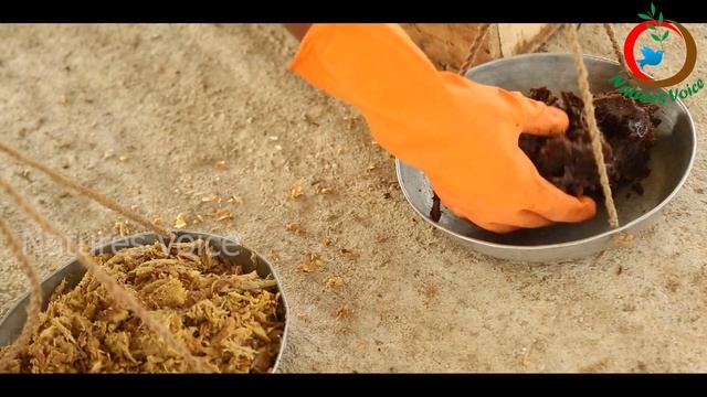 Make Your Own Oriental Herbal Nutrient OHN II Korean Natural Farming смотреть онлайн
