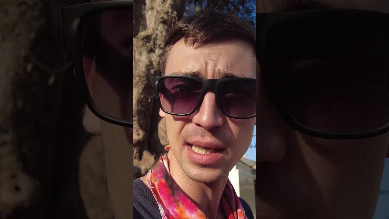 Остановились перекусить. Делимся впечатлениями  #летаемсворобьями #nature #travel #блогер #юмор