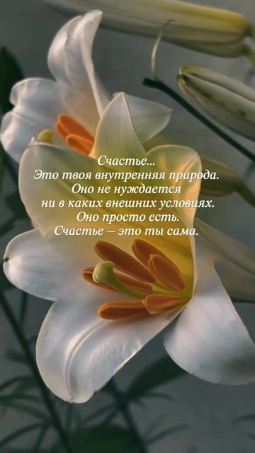 Всем привет смотреть онлайн