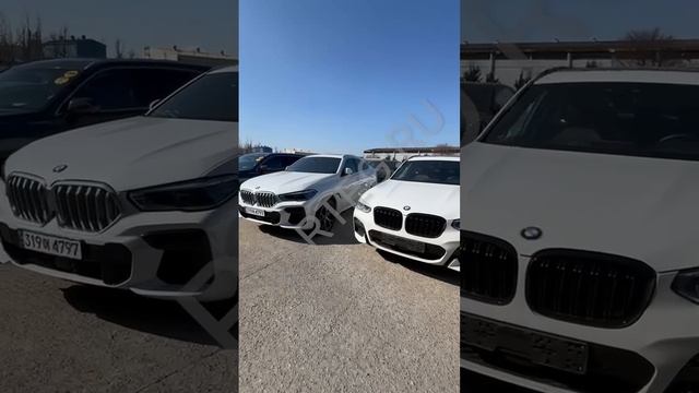 Авто из Южной Кореи 🚘 CARTEG.RU