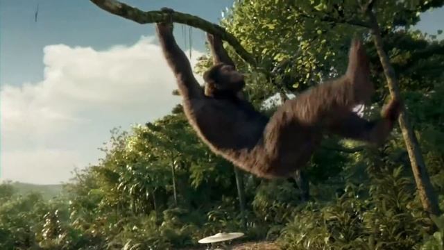 T Killa    Мы отвисаем как обезьяны в джунглях