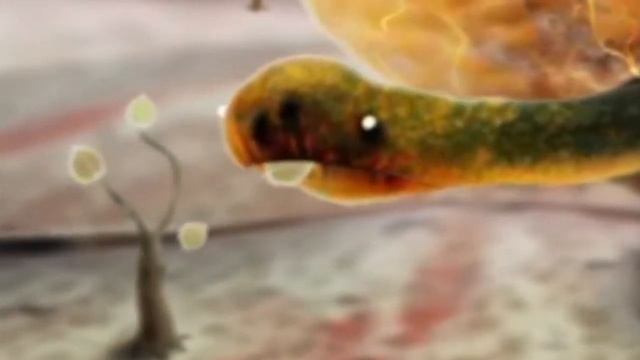 Botanicula Part 7 *VERY OLD* смотреть онлайн