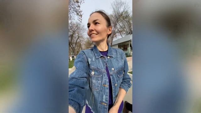 Про регистрацию, бродячих собак и погоду в Ташкенте