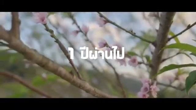 Sai Tai смотреть онлайн