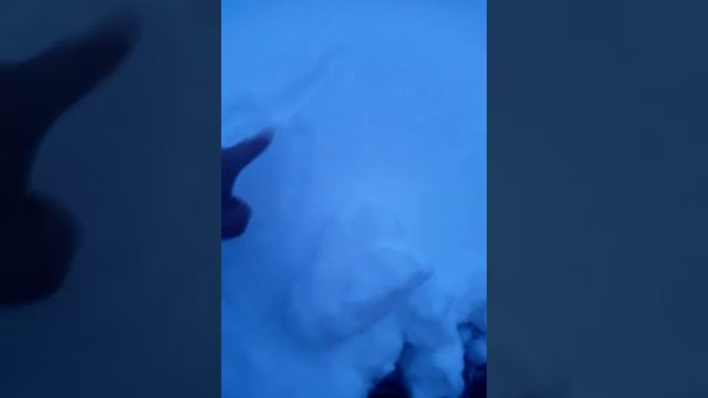 ппролл