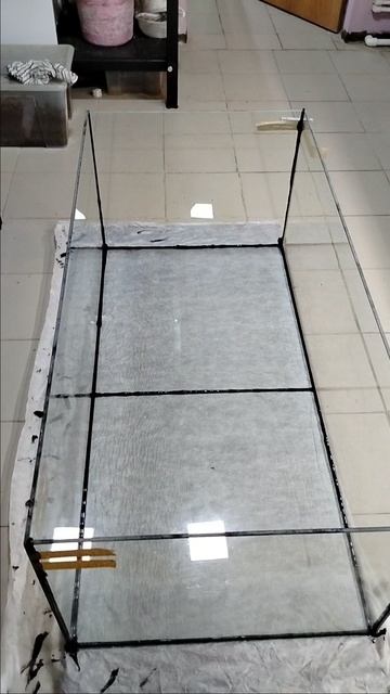 аквариум , клейка