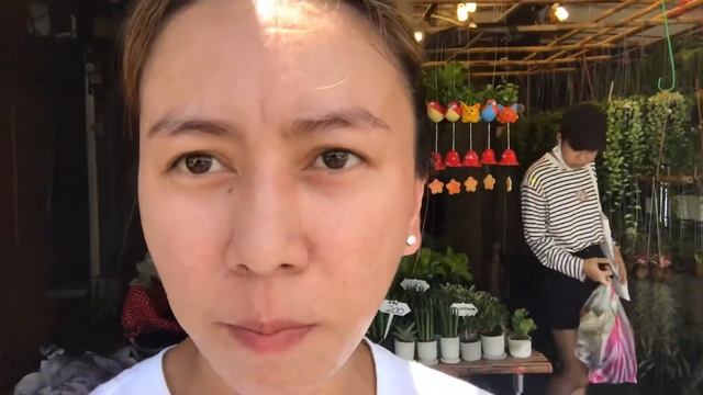 The Biggest Plant Market In Bangkok, Thailand 🇹🇭 | Chatuchak Market | Plant Market Bangkok