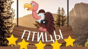 Изучаем ПТИЦ | Развивающие мультики для МАЛЫШЕЙ и ДЕТЕЙ 2,3,4,5,6 лет | Детский видео канал 0+