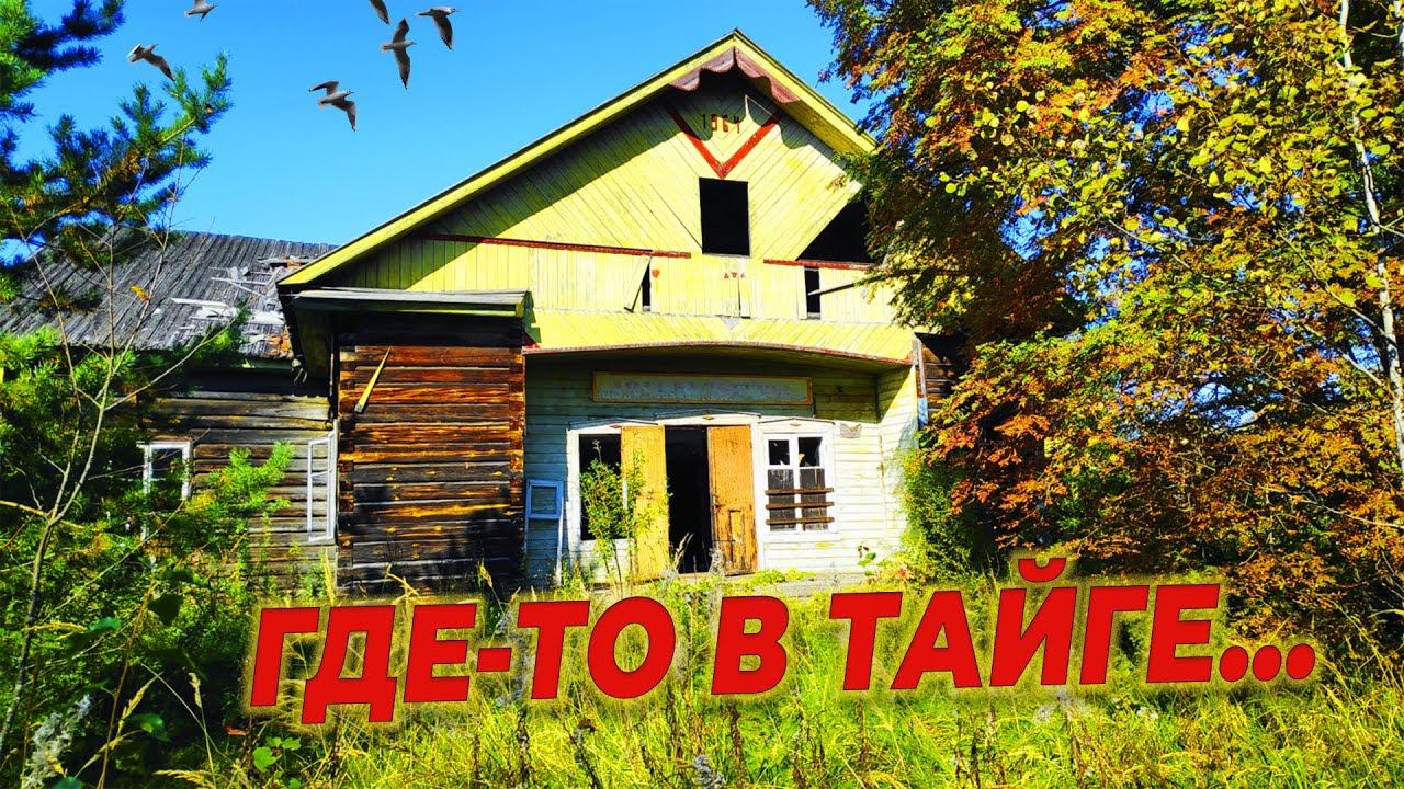 ГДЕ ТО В ТАЁЖНЫХ ЛЕСАХ ЗАБРОШЕННЫЙ ПОСЁЛОК ЛЕСОРУБОВ смотреть онлайн