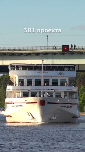 Seafaring Serendipity