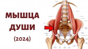 Как расслабить ПОЯСНИЧНУЮ МЫШЦУ 🔴 3 САМЫХ эффективных упражнения