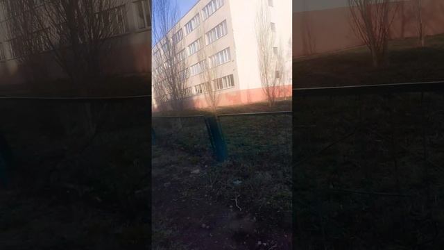 20250408_071622 смотреть онлайн