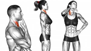 9 упражнений чтобы избавиться от Двойного Подбородка и Горба на Шее