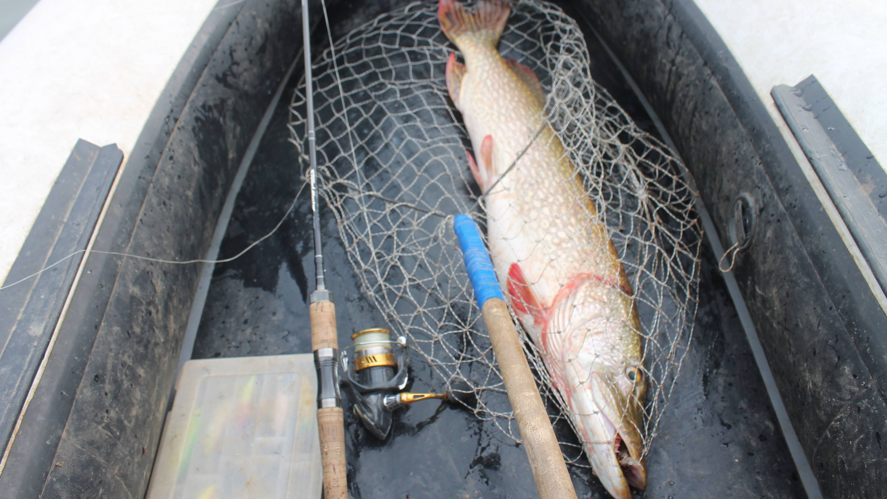 Ловля щуки - КРАСИВАЯ ПОКЛЕВКА. Как не сломать спиннинг при бросках под лодку.