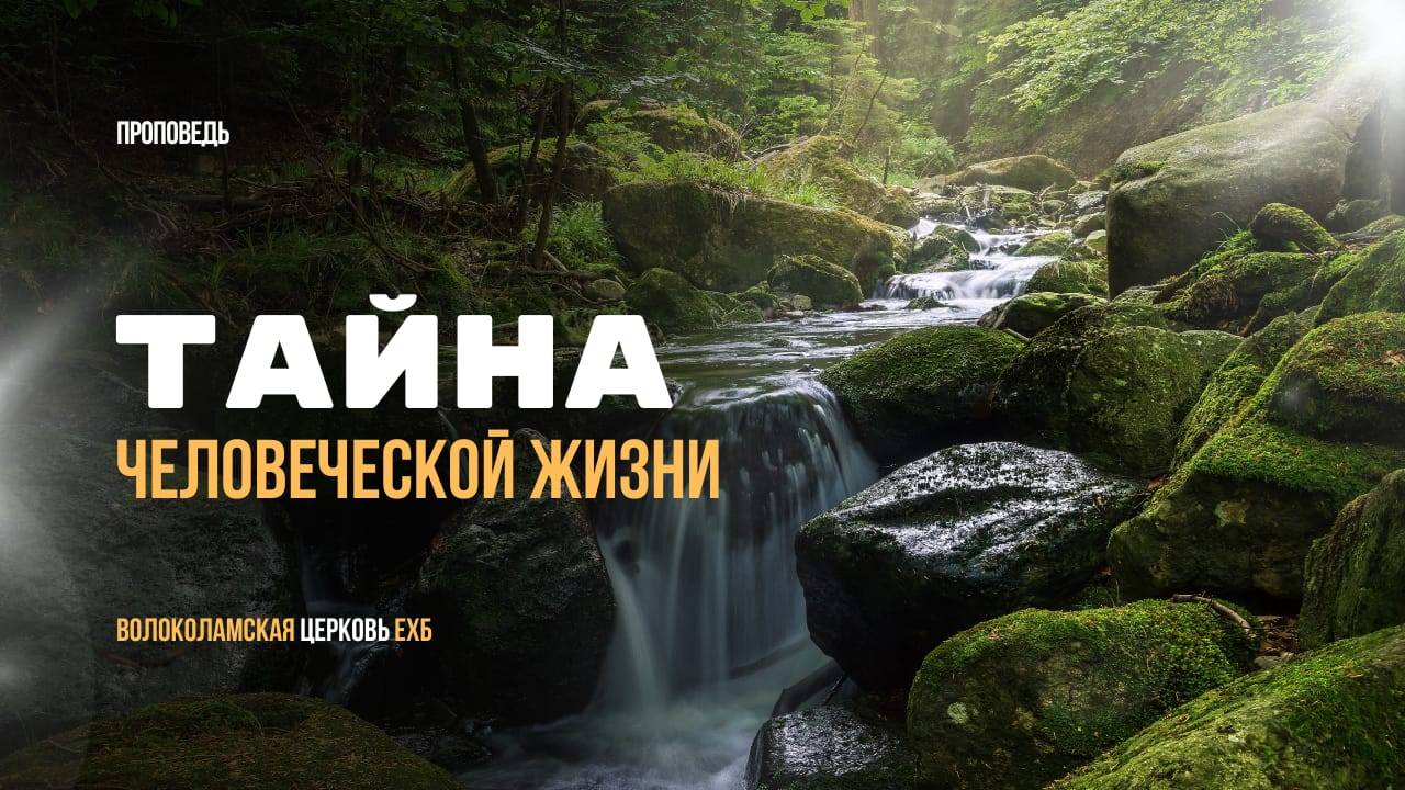 Тайна человеческой жизни. Владимир Дорофеев. Проповедь. смотреть онлайн