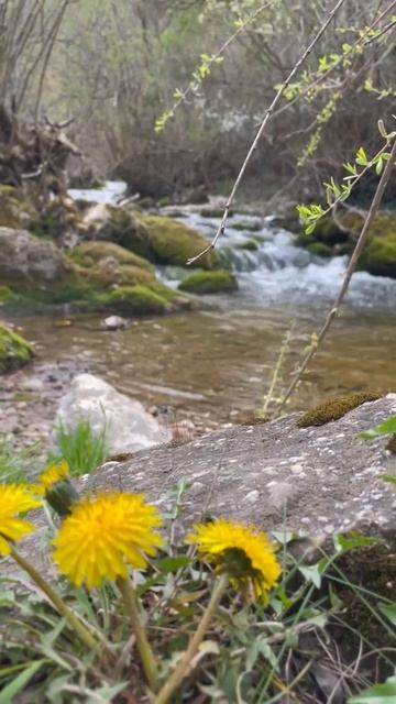 Горная река 💖💖💖 смотреть онлайн