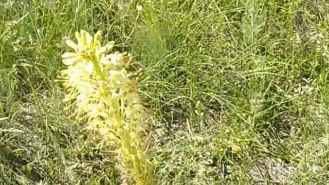 көңілді музыка смотреть онлайн